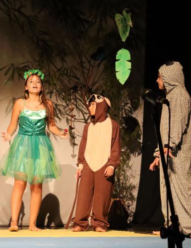 Festa-na-Floresta-149