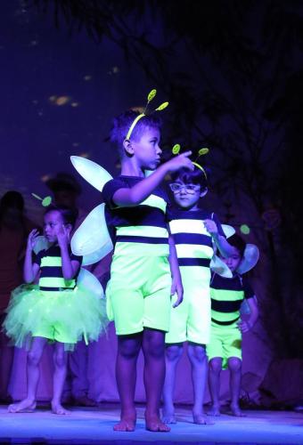 Festa-na-Floresta-62