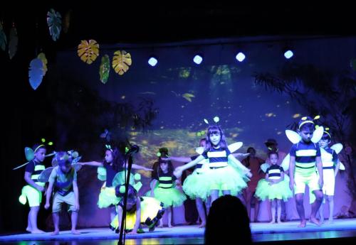Festa-na-Floresta-64
