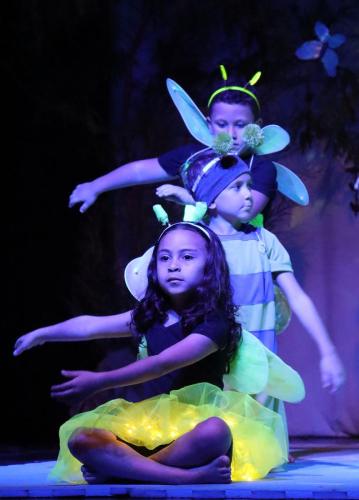 Festa-na-Floresta-66