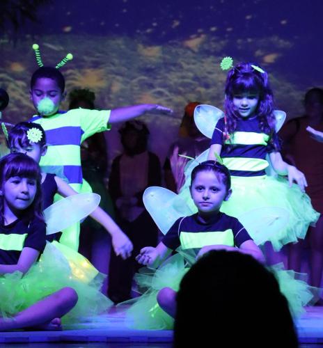 Festa-na-Floresta-68