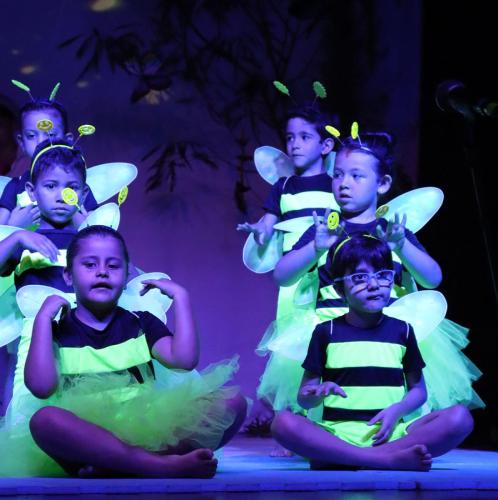 Festa-na-Floresta-70