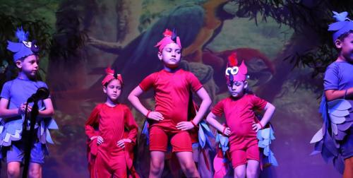 Festa-na-Floresta-79