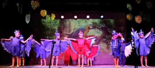 Festa-na-Floresta-90