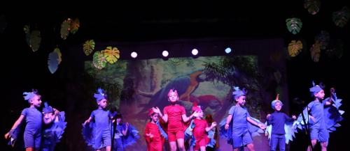 Festa-na-Floresta-93