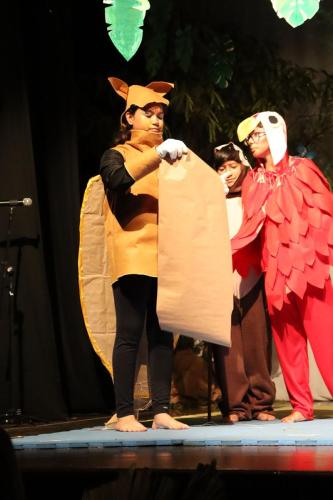 Festa-na-Floresta-97