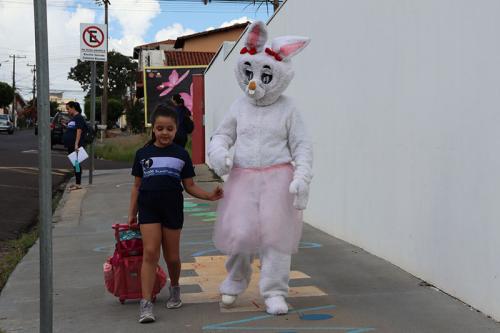 IMG 3473-copiar