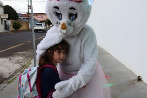 IMG 3477-copiar